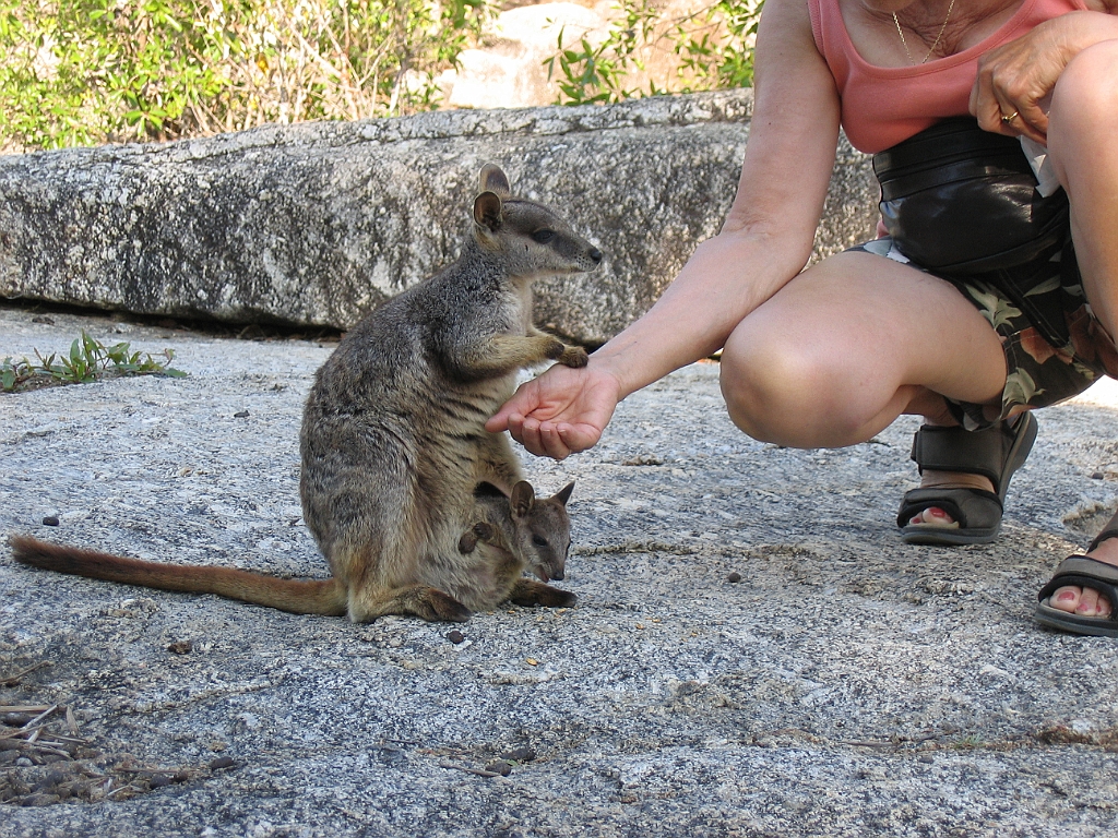 CairnsTC126 Granite Gorge.jpg